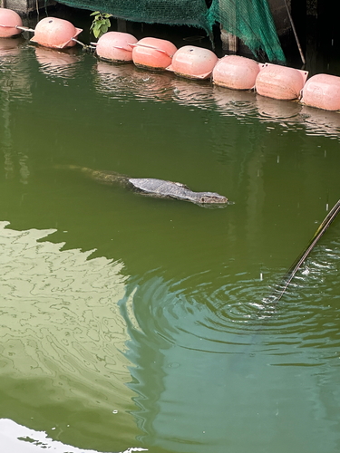 Common Water Monitor