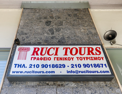 Columba livia domestica