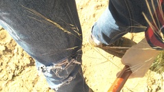 Stipagrostis ciliata capensis