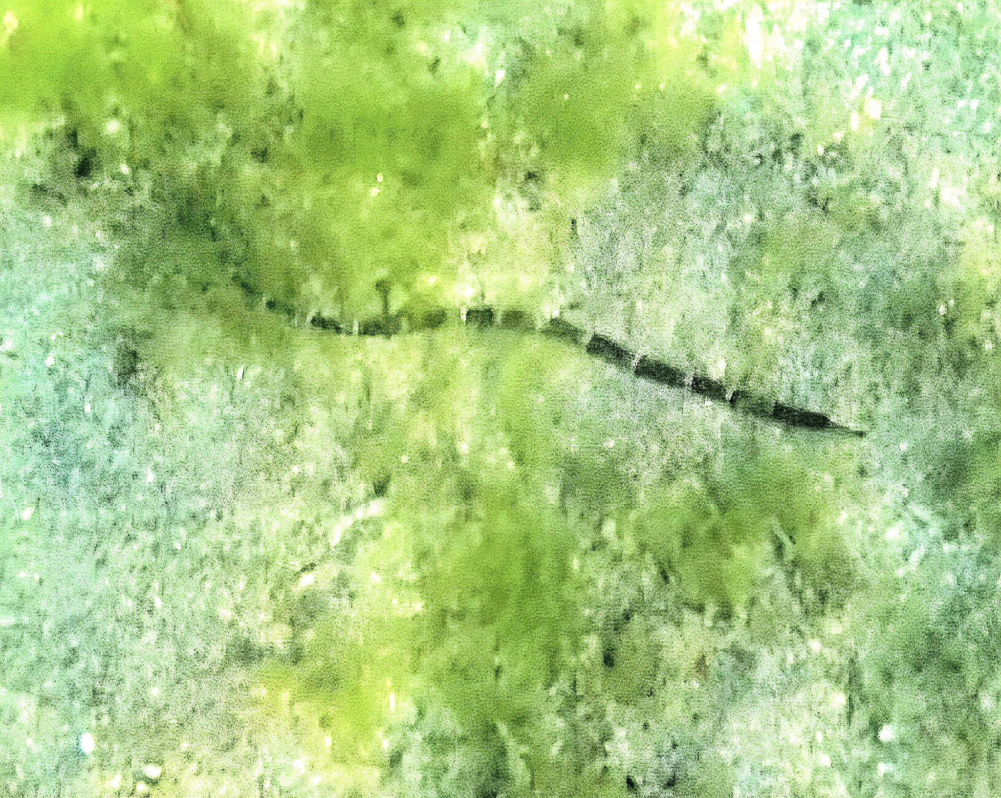 Shortfin Pipefish photo 8