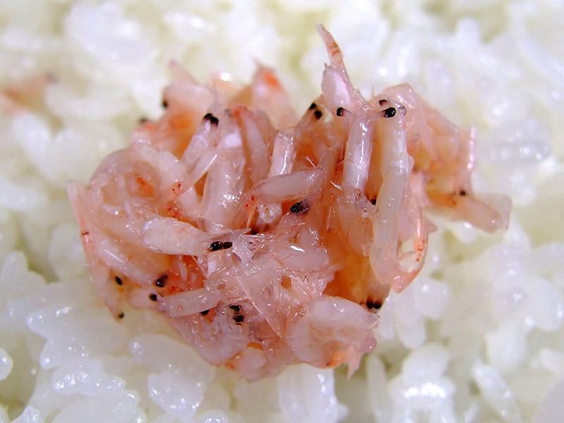 Akiami paste shrimp