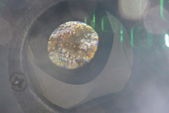 Punctelia missouriensis