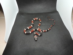 Rhinobothryum bovallii