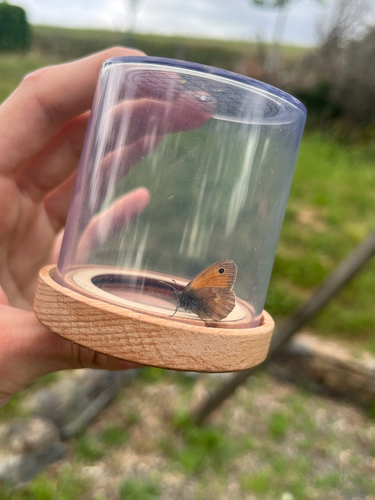 Small Heath