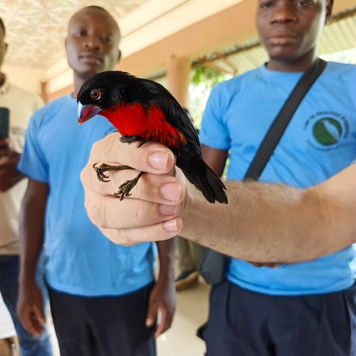 iNaturalist image