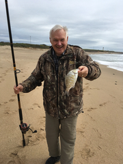 Amphistichus argenteus