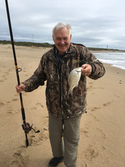 Amphistichus argenteus