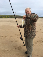 Amphistichus argenteus