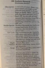 Satyrium calanus calanus