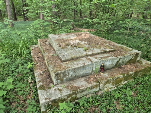 Vinca minor