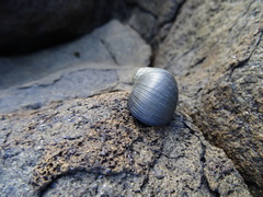 Nerita atramentosa