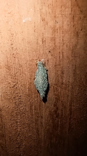 Household Casebearer