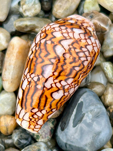 Textile Cone