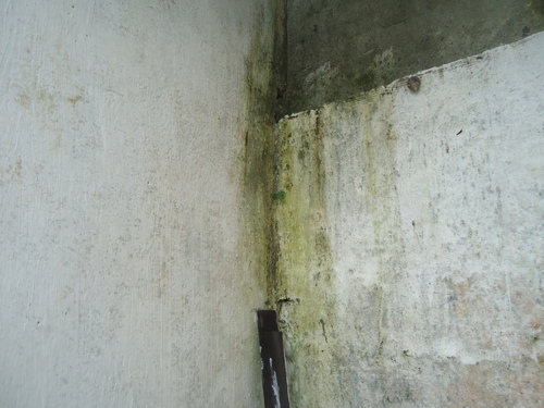 Artillery Plant