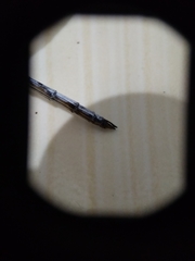 Zyxomma obtusum