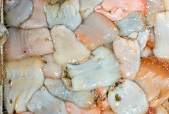 Actinostola callosa