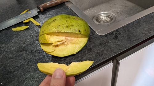 Spondias dulcis