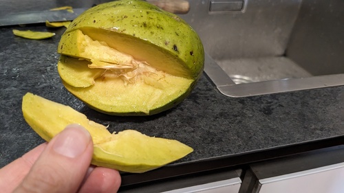 Spondias dulcis