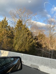 Juniperus virginiana virginiana