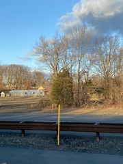 Juniperus virginiana virginiana