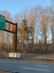 Juniperus virginiana virginiana