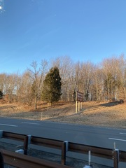 Juniperus virginiana virginiana