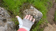 Thysanocarpus curvipes