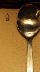 Epithymema incomposita