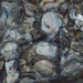 Saccostrea cuccullata