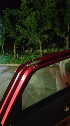Formosan Giant Mantis