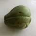 Chayote - Photo (c) richardnalven, some rights reserved (CC BY-NC)