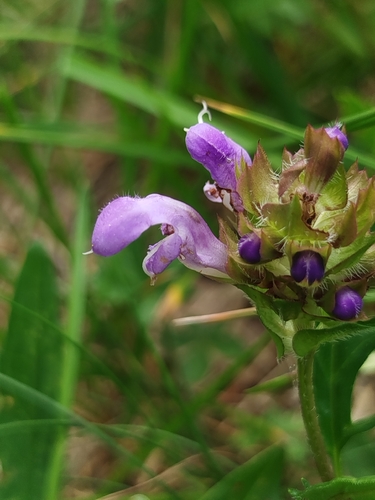 Large Self-heal