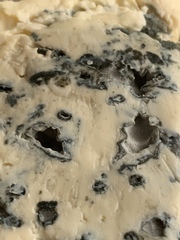Penicillium roqueforti
