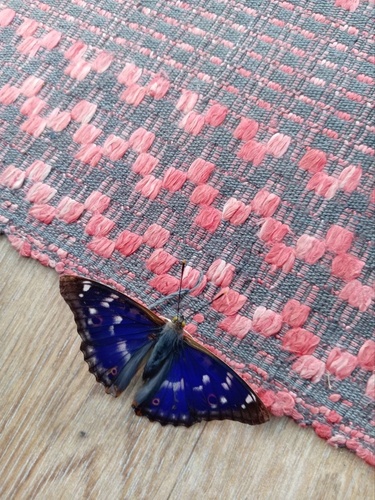 Lesser Purple Emperor