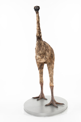 Dinornithiformes