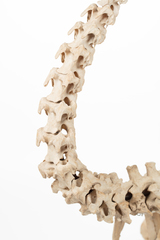 Dinornithiformes