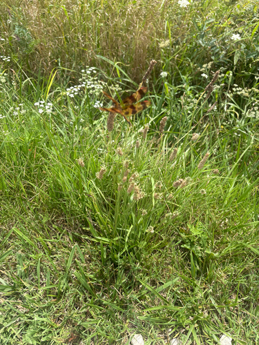 Halloween Pennant