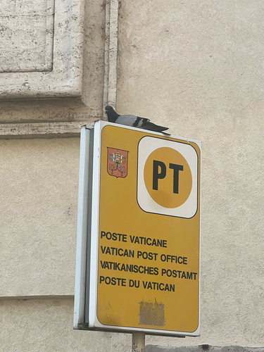 Rock Pigeon