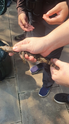 Common Water Monitor