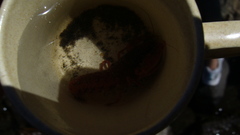 Samastacus spinifrons