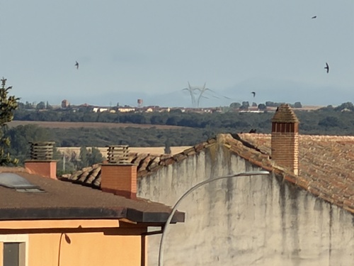 Common Swift