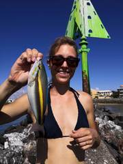 Pentapodus paradiseus