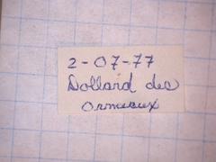 Chrysobothris harrisi