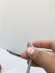 Mastigodryas melanolomus