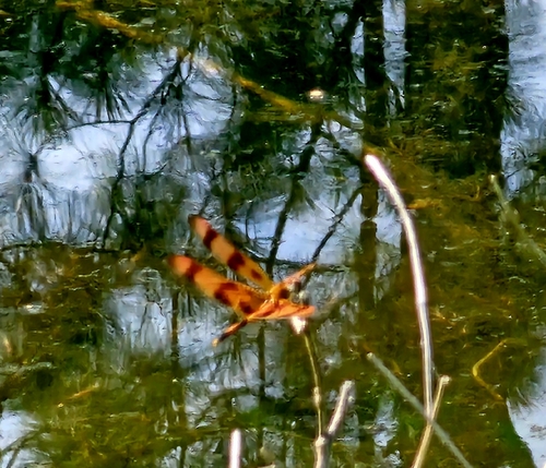 Halloween Pennant