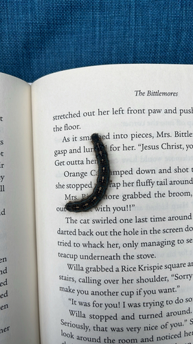 Forest Tent Caterpillar Moth