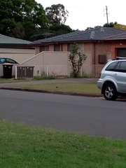 Streptopelia chinensis