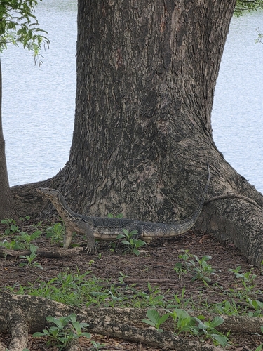 Common Water Monitor