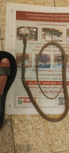 Sahara Racer