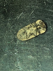 Sclerum